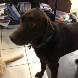 Meet your Posher, Carolyn